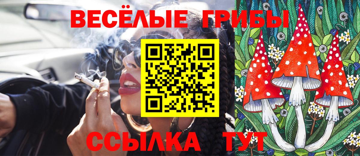 Галлюциногенные грибы ЛСД Кизилюрт
