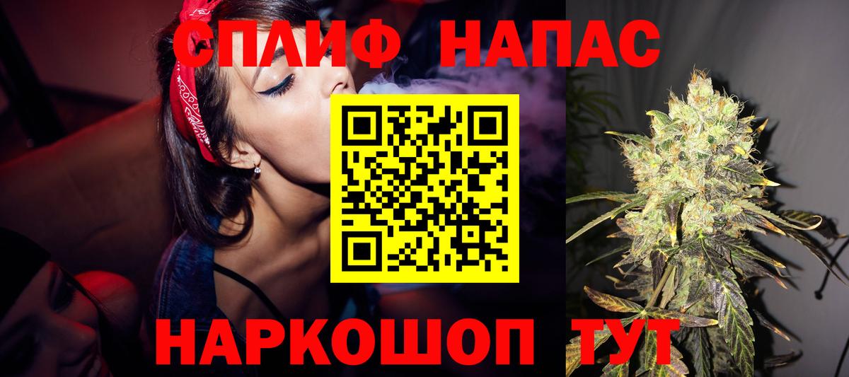 Бошки Шишки план Кизилюрт
